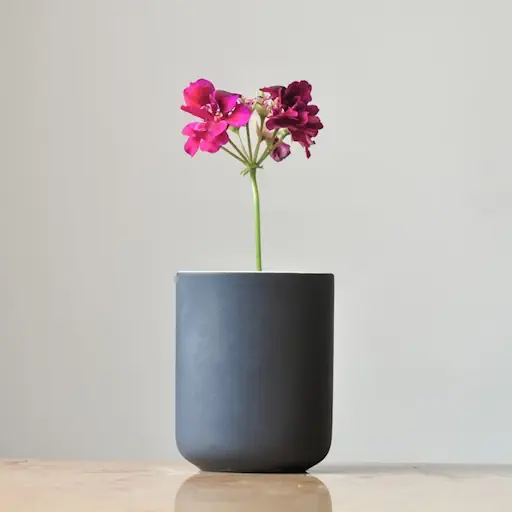 Helix Sculptural Vase